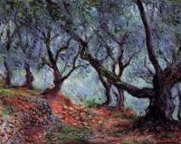 Monet, Claude Oscar - Grove of Olive Trees in Bordighera